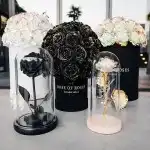 گل رز جاودان گلکسی کریستالی باکس دیو ودلبر کینگ