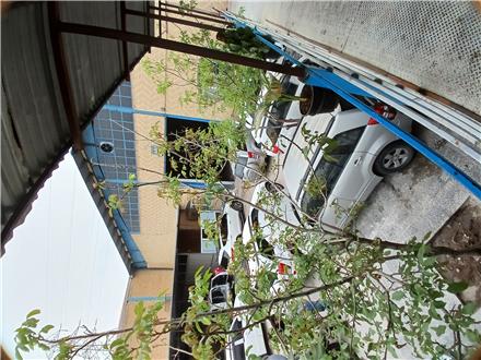 برق خودروهای ژاپنی