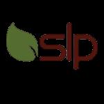 واردات و توزیع بلبرینگ SLP خودرویی صنعتی کشاورزی 