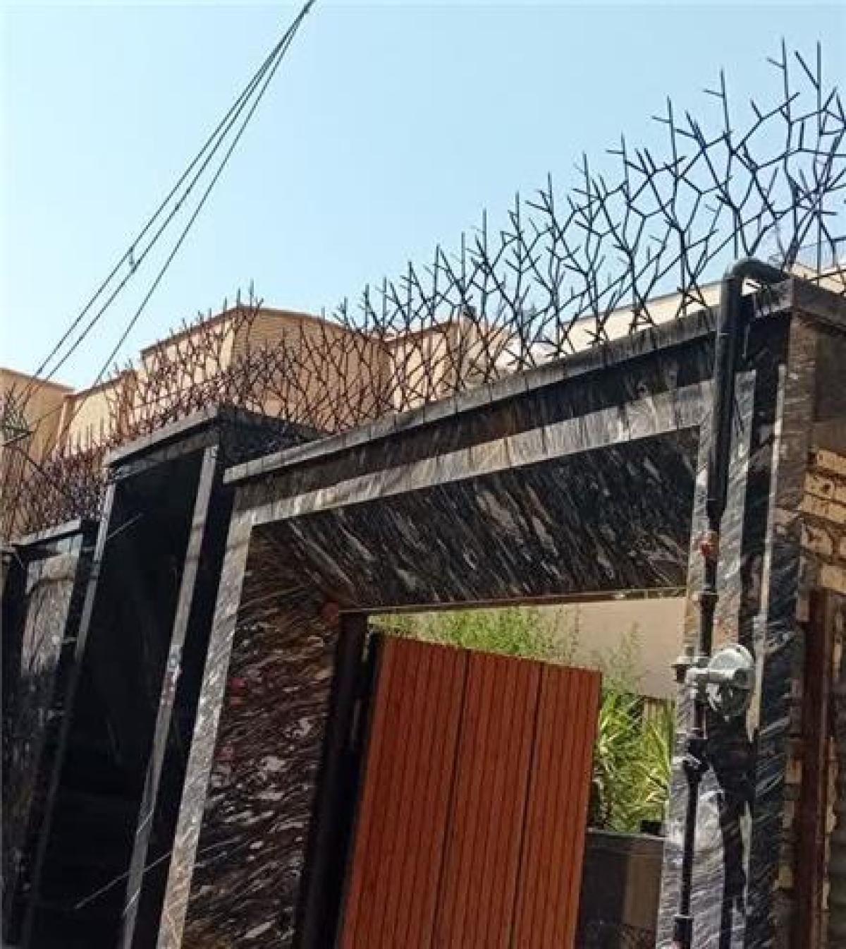 نرده و حفاظ شاخ گوزنی